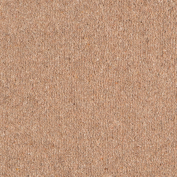 Carpet Remnants For Sale Wilton Carpet Remnants Offcuts