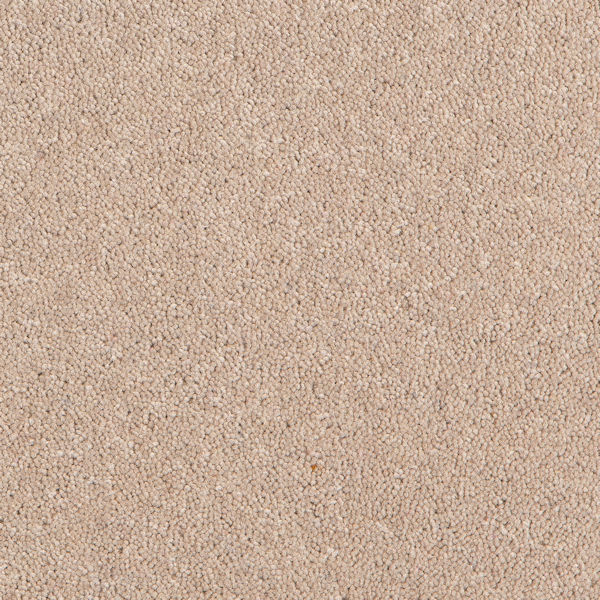 Carpet Remnants For Sale Wilton Carpet Remnants Offcuts