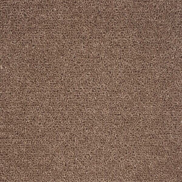 Portland Frothy Coffee