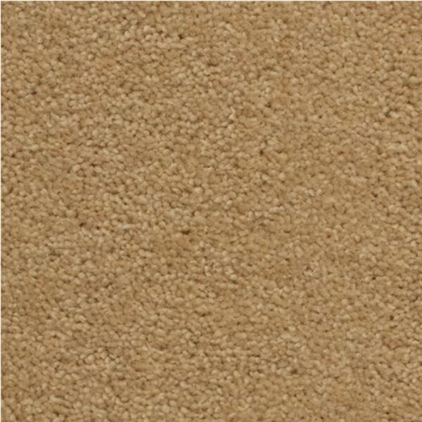 Dunster 50 – Chiffon