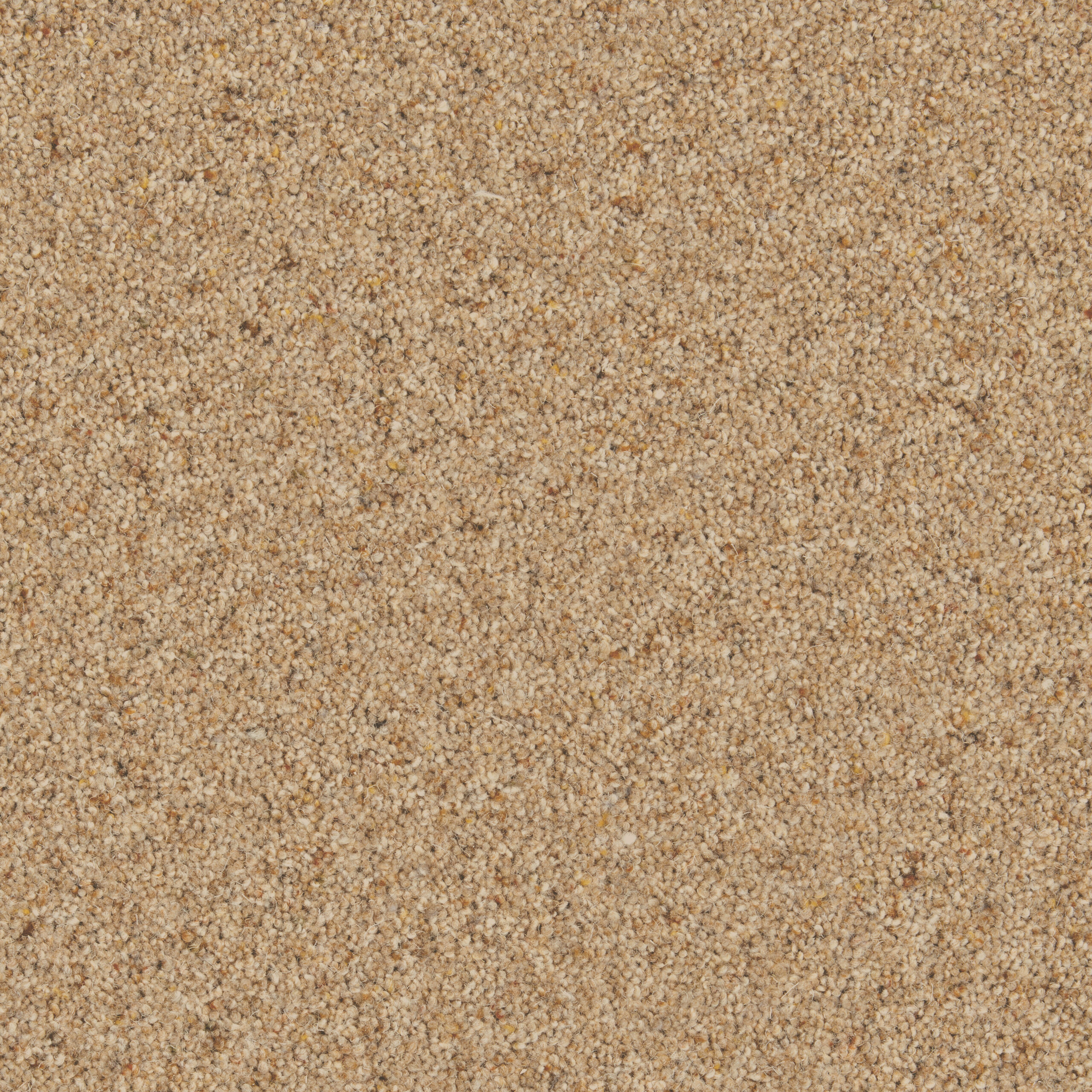 Lydford Berber 45oz – Macaroon