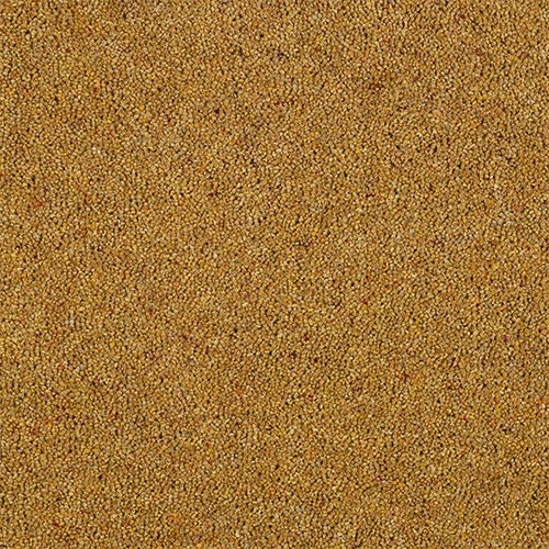 Balmoral Berber Twist – Mustard