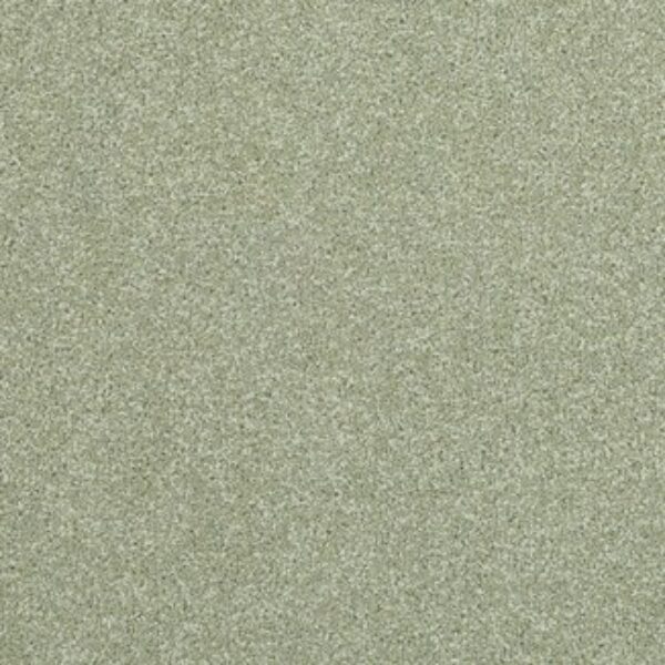 Fine Worcester Twist Charlton Catkin